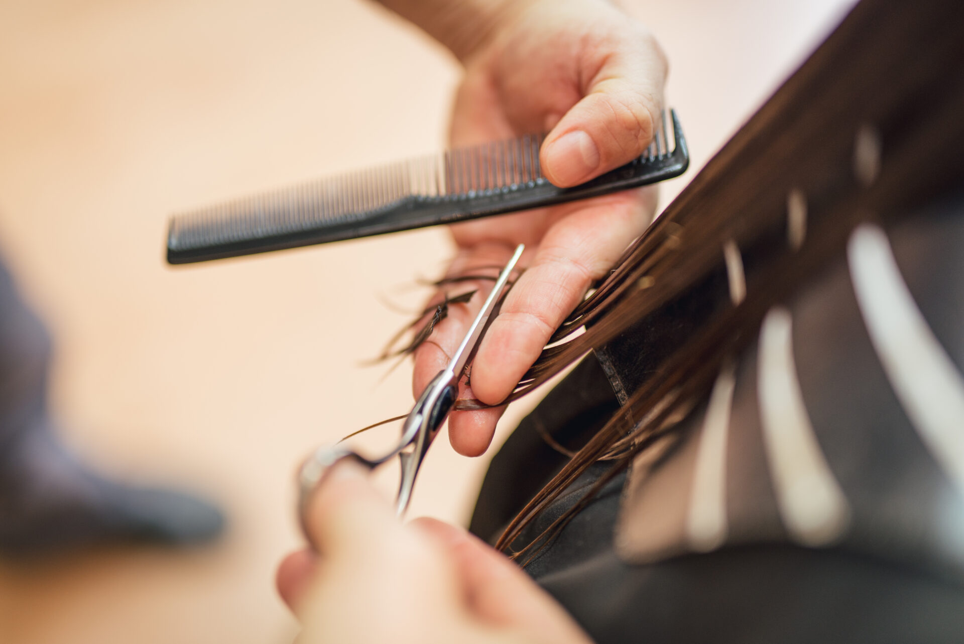 Servicios de Peluquería